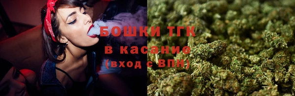 шишки Абинск