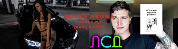 шишки Абинск