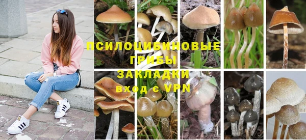 кокаин премиум Алексеевка