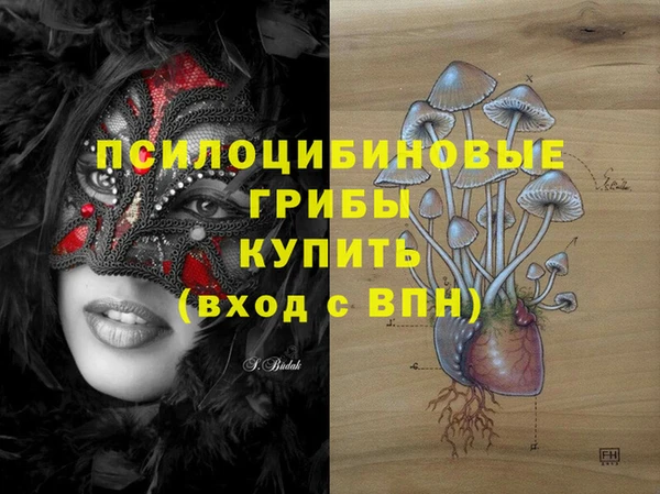 гашиш Абаза