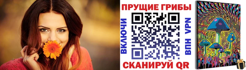 Галлюциногенные грибы Psilocybine cubensis  гидра маркетплейс  Болхов 